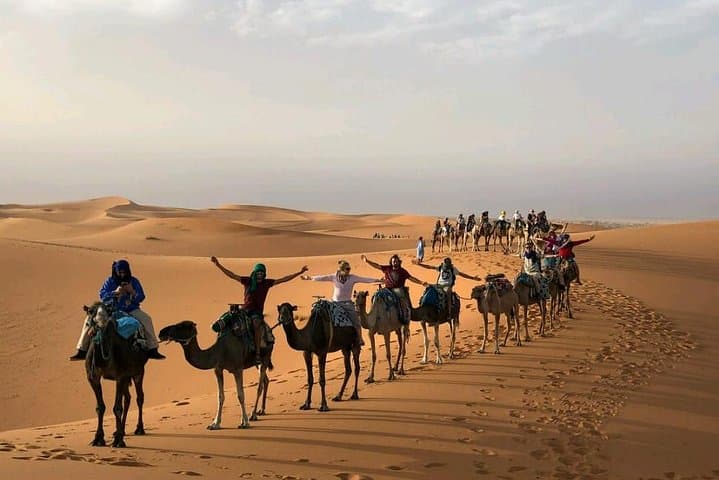 ✅ Camel Ride and Overnight in Sahara Desert Camp