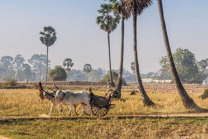 Private tour: Preah Khan Kompong Svay and Sambor Prei kuk Temples