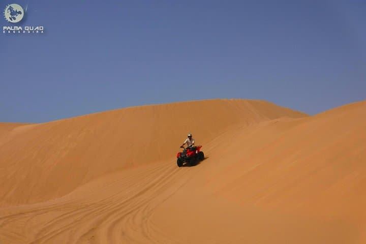 Big dunes and atlantic coast tour 2 HOURS
