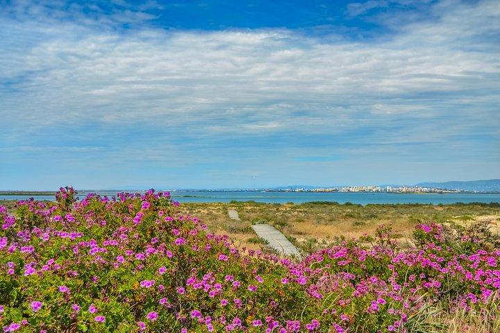 Boat trip from Faro to Ilha Deserta by Ferry