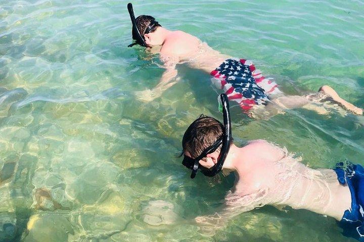 Small Group 2 Hour Dolphin Cruise with Snorkeling to Shell Key