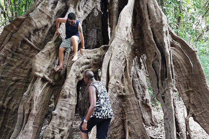 5 Days Amazon Jungle Adventure Tour