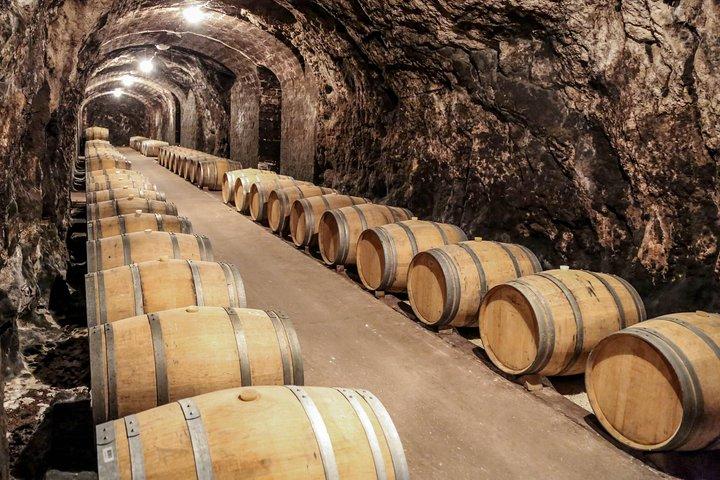 Tokaj Full Day Private Wine Tour from Budapest