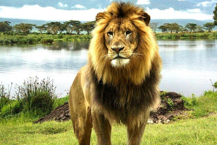 9-Days Best Kenya Wildlife Private Family Safari from Nairobi