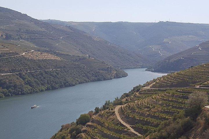 Douro Valley Tour: Wine Tasting River Cruise and Lunch from Porto