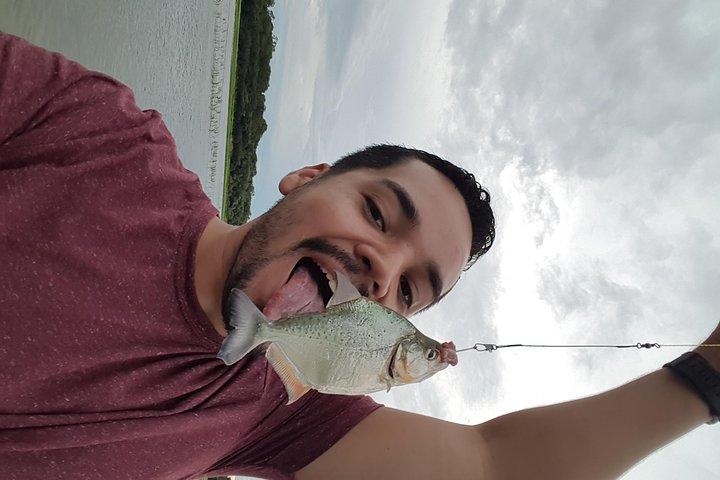 Solimoes River Piranha Fishing and Alligator Watching Tour
