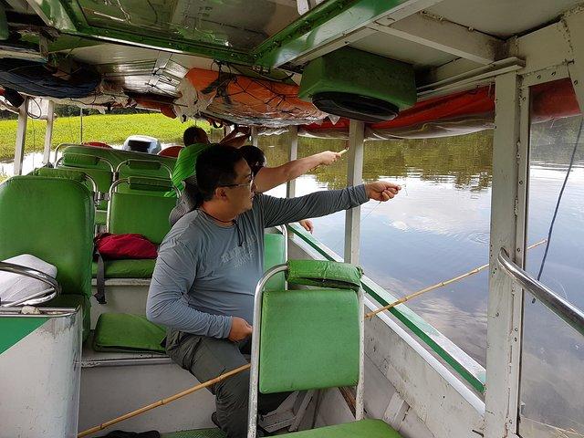 Solimoes River Piranha Fishing and Alligator Watching Tour