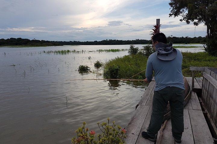 Solimoes River Piranha Fishing and Alligator Watching Tour