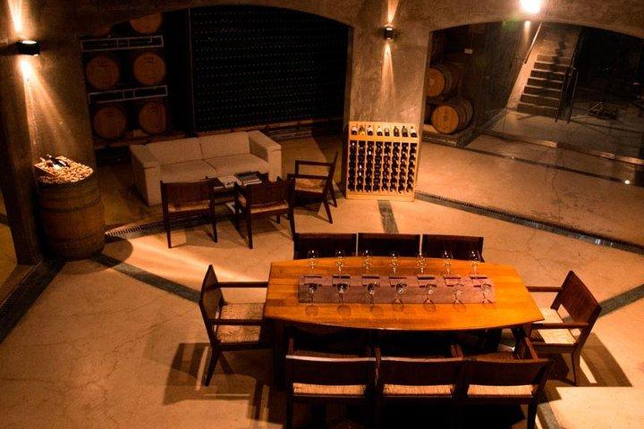 Malbec Experience in Bodega Tierras Altas