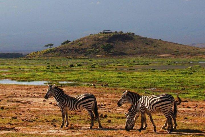 3-Day Amboseli National Park - Group Joining Safari