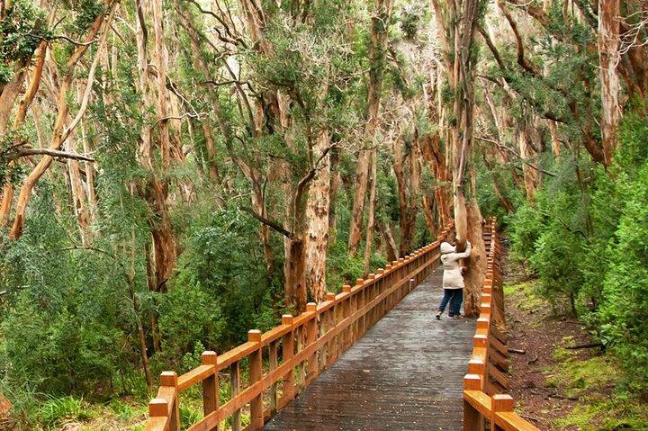 Bariloche 3 tours Classic package The most requested tours in 1 booking