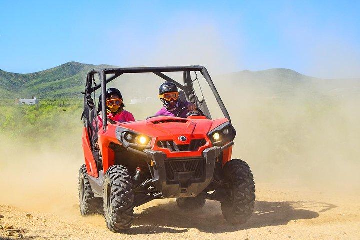 Cabo Adventure: Can-Am X3 Ride & Camel Beach Tour