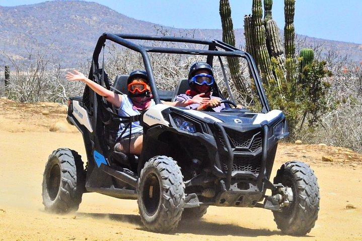 Cabo Adventure: Can-Am X3 Ride & Camel Beach Tour