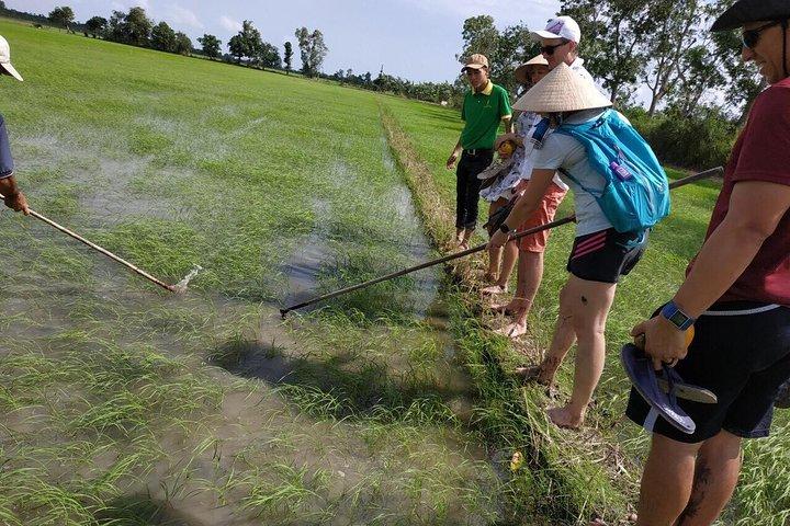 FULL Day - CAI RANG FLOATING MARKET, COOKING CLASS AND EXPLORE THE COUNTRYSIDE