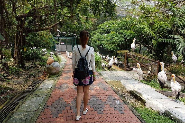 Kuala Lumpur Bird Park Admission Ticket with Private Pickup