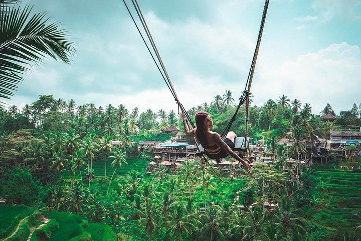 Bali Holy Bath and Jungle Swing Private Day Trip