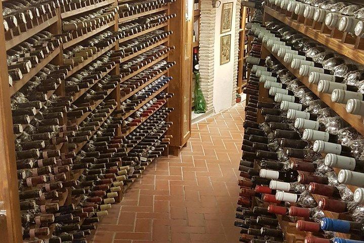 Roman Countryside: Wine and Food Tasting, Private Day Tour