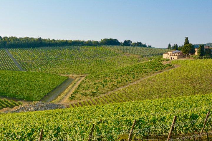 Private Tuscany Excursion. Florence American Cemetery, Greve in Chianti, Winery