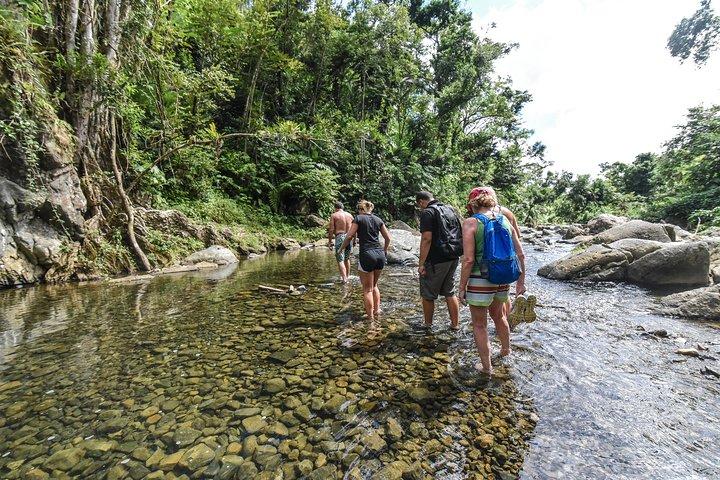 El Yunque Rainforest Tour from Fajardo