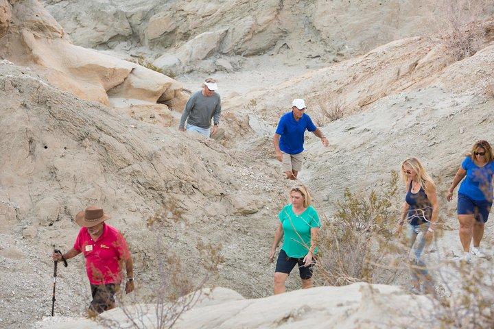San Andreas Fault Jeep Tour from Palm Desert