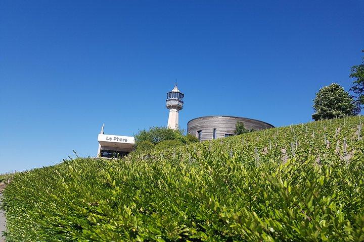 Private day tour in Champagne