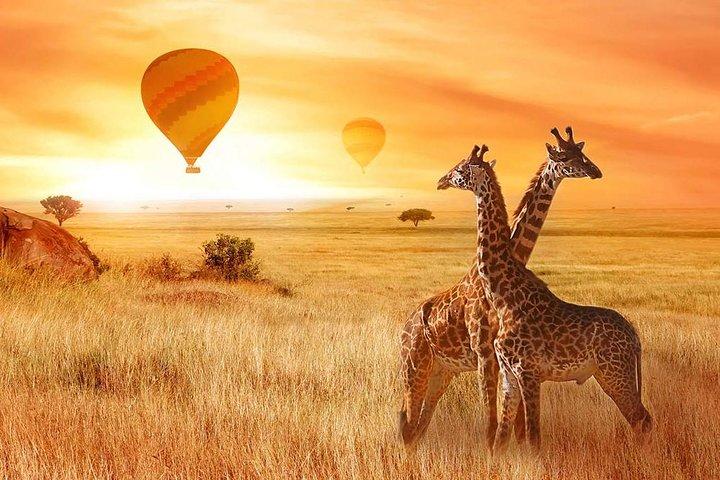 5 Days Tanzania Safari- Tarangire, Serengeti, Ngorongoro, Manyara