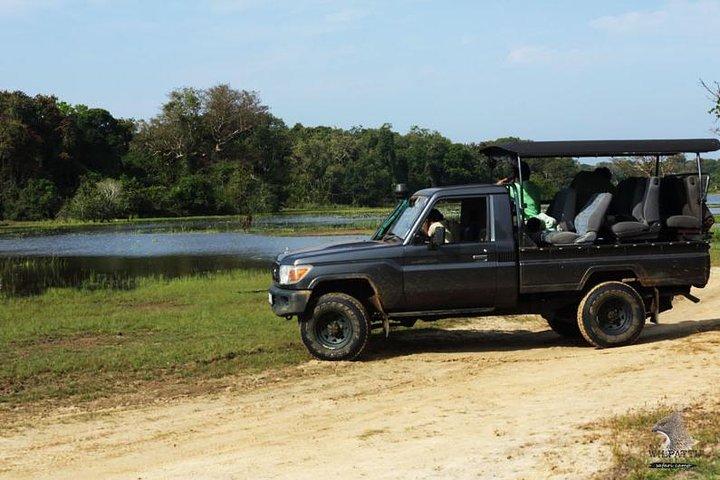Yala Safari Day Trip from Mirissa/Weligama/Galle/Tangalle areas