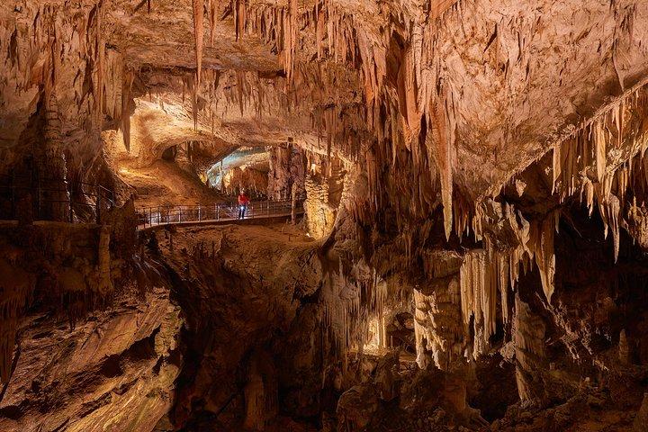 Postojna Cave & Predjama Castle from Trieste