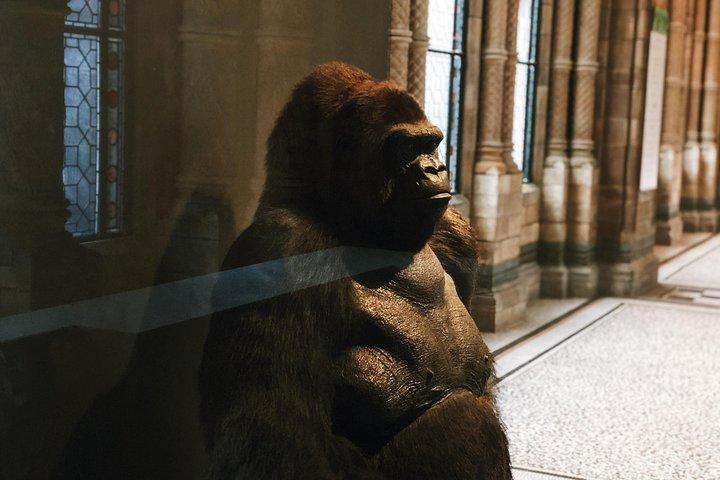 Natural History Museum London - Exclusive Guided Museum Tour