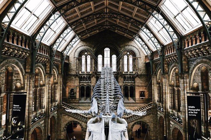 Natural History Museum London Guided Tour Semi-Private 8ppl Max