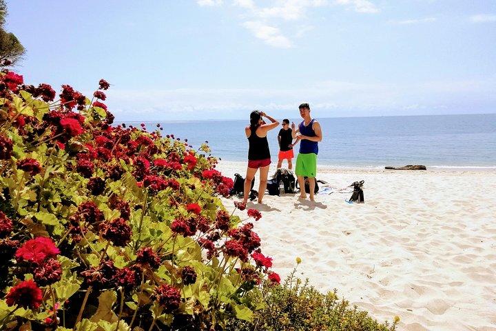 Arrábida Snorkeling Adventure with Transfer from Lisbon