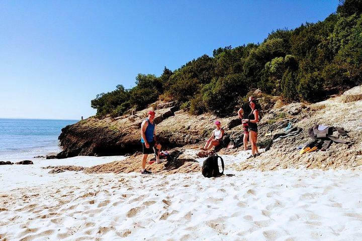 Arrábida Snorkeling Adventure with Transfer from Lisbon