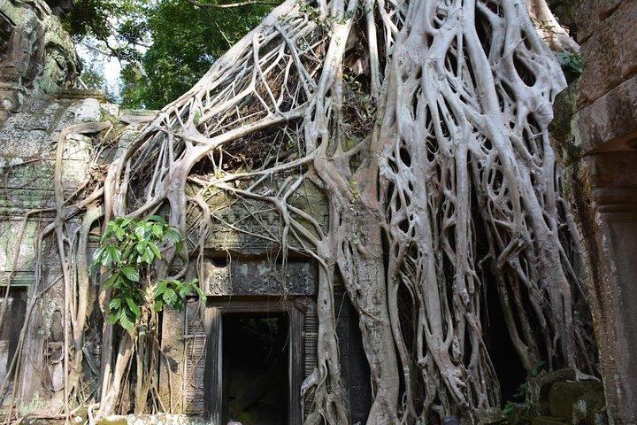 4 Days Expedition From Bangkok to Angkor Wat