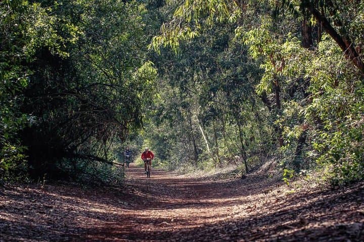 Nairobi Day Tour to Karura Forest Hike, Trail Bike & Nature Walk