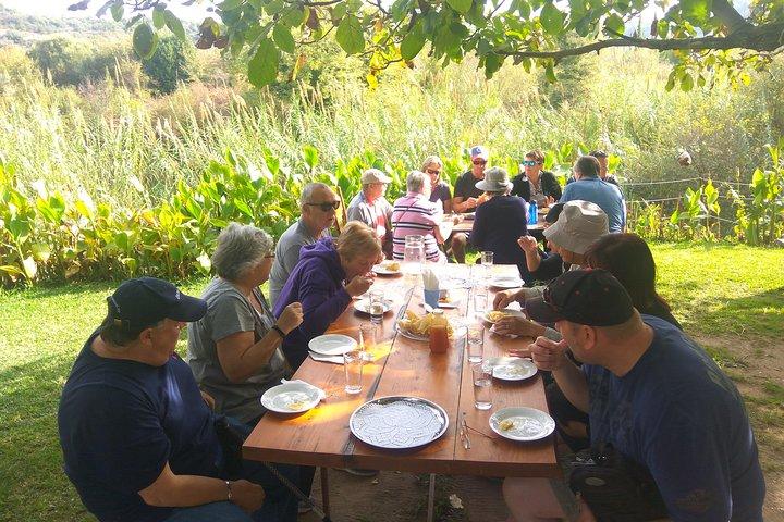 Katakolon Small Group Tour: Olympic site, Honey/Olive Oil Tasting