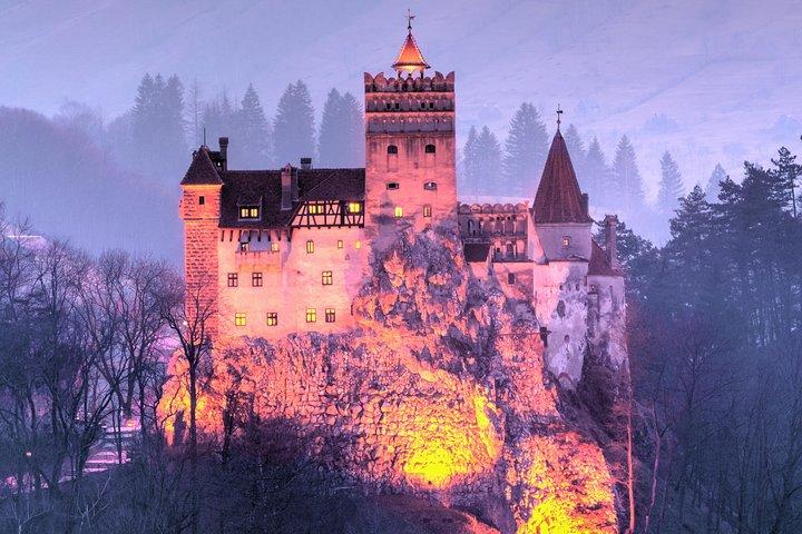 Bears Sanctuary, Dracula's Castle, Brasov Day Trip Private Tour from Bucharest