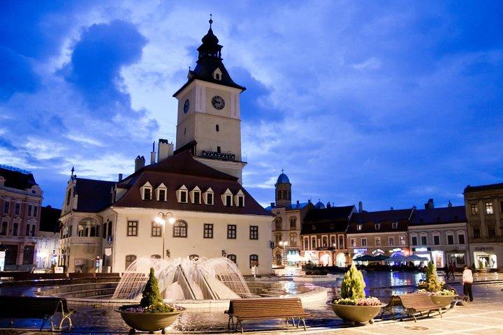 Bears Sanctuary, Dracula's Castle, Brasov Day Trip Private Tour from Bucharest
