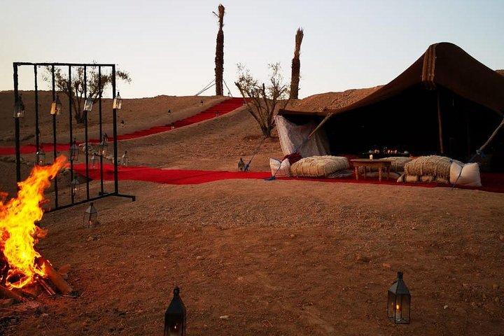 Camel ride and magical dinner in Agafay desert