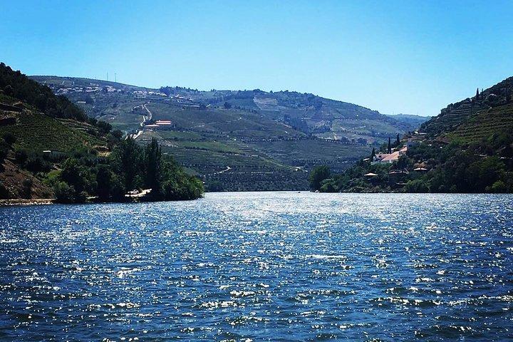 Douro Valley Small Group Tour with Two Winery, Lunch & Boat Trip
