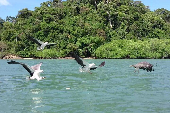 Langkawi Island Hopping Experience by Private Boat with Pickup