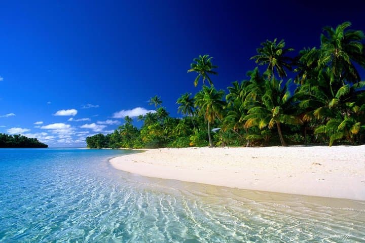 A Taste of Zanzibar - 6 Days