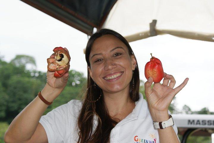Tortuguero Canal Cruise and Prospect Plantation. Shore Excursion