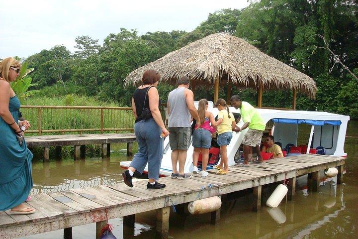 Tortuguero Canal Cruise and Prospect Plantation. Shore Excursion