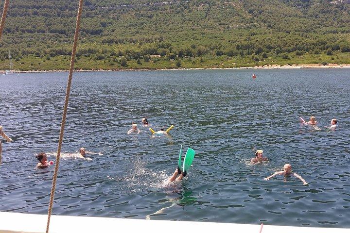 Sailing day trip on Tall Ship Andrea Jensen with Lunch and Wine