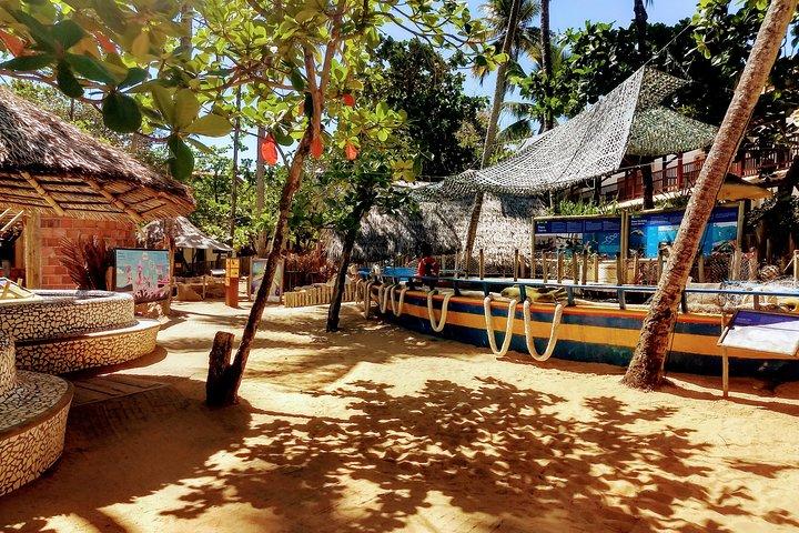North Beach Praia do Forte and Guarajuba Tour