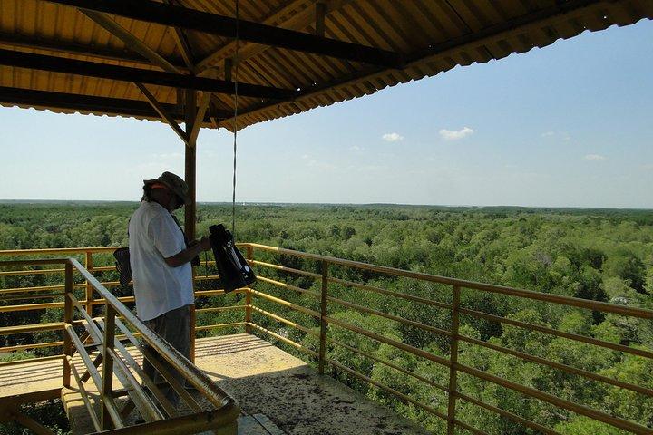 Can Gio Mangrove Eco And Wildlife Discovery Tour
