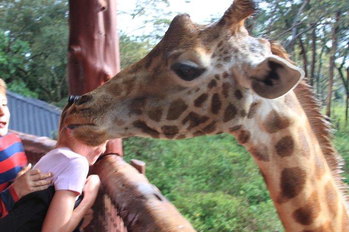 Giraffe center breathtaking Tour