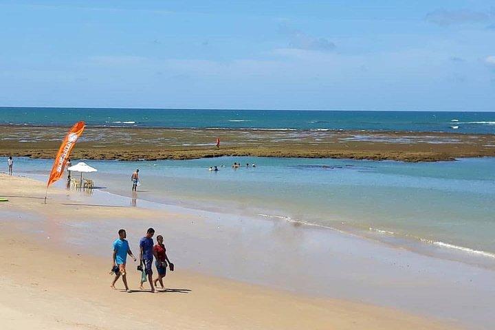 North Beach Praia do Forte and Guarajuba Tour