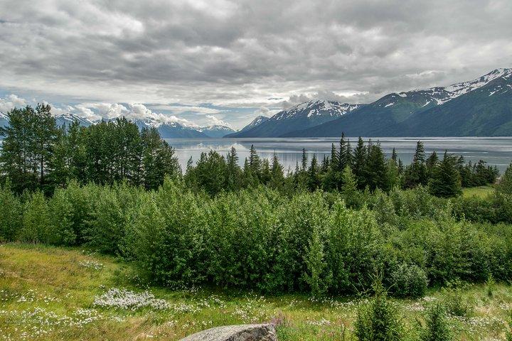 Glaciers and Wildlife: Super Scenic Day Tour from Anchorage
