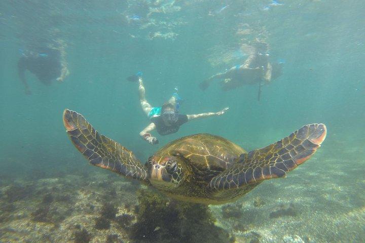 6-Day Galapagos Island Hopping Tour: Santa Fe, Santa Cruz and Los Tuneles